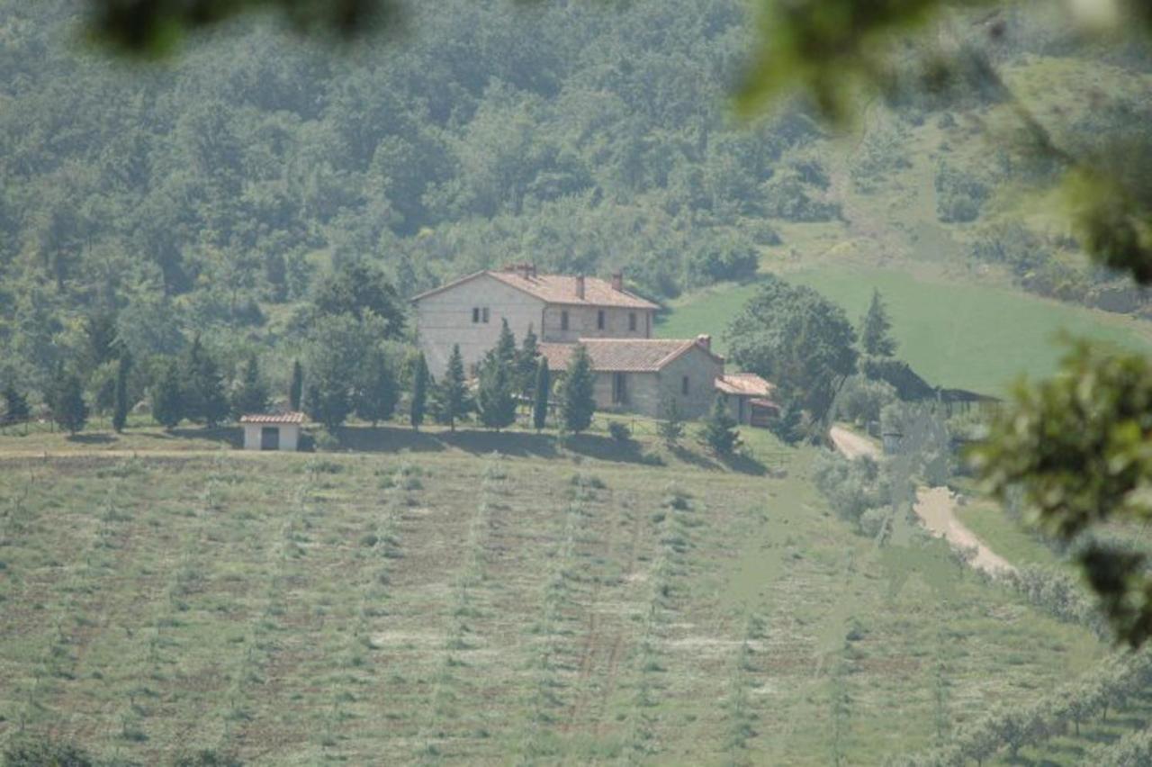 Agriturismo La Provenca Chianciano Terme Exterior foto